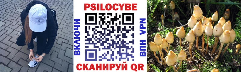 Псилоцибиновые грибы мицелий  hydra ссылка  Баймак 