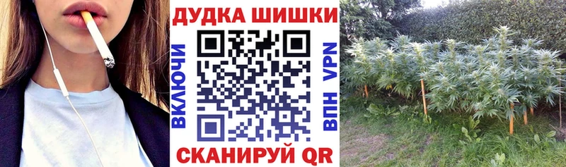 блэк спрут ONION  Баймак  Шишки марихуана сатива 